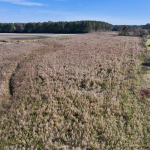Photo #4 of SOLD property in Off High Level Rd, Pinetops, NC 17.6 acres