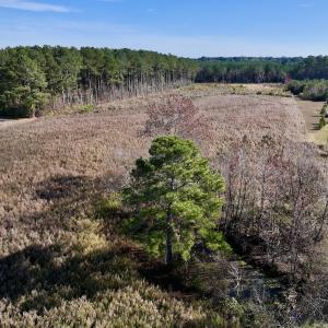 Photo #5 of SOLD property in Off High Level Rd, Pinetops, NC 17.6 acres