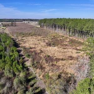 Photo #6 of SOLD property in Off High Level Rd, Pinetops, NC 17.6 acres