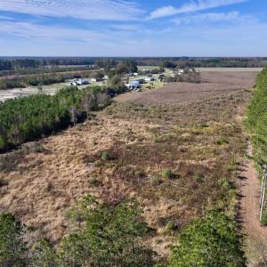 Photo #8 of SOLD property in Off High Level Rd, Pinetops, NC 17.6 acres