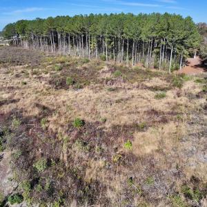 Photo #9 of SOLD property in Off High Level Rd, Pinetops, NC 17.6 acres