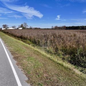 Photo #22 of SOLD property in Off High Level Rd, Pinetops, NC 17.6 acres