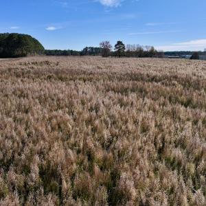 Photo #26 of SOLD property in Off High Level Rd, Pinetops, NC 17.6 acres