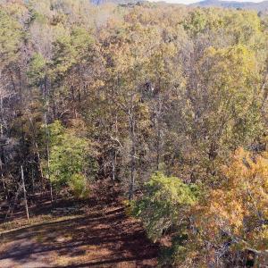 Photo #1 of SOLD property in 124 Monroe Court, Troy, NC 0.6 acres