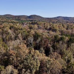 Photo #10 of SOLD property in 124 Monroe Court, Troy, NC 0.6 acres