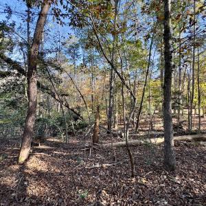 Photo #11 of SOLD property in 124 Monroe Court, Troy, NC 0.6 acres