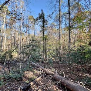 Photo #12 of SOLD property in 124 Monroe Court, Troy, NC 0.6 acres