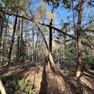 Photo #13 of SOLD property in 124 Monroe Court, Troy, NC 0.6 acres