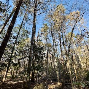Photo #14 of SOLD property in 124 Monroe Court, Troy, NC 0.6 acres