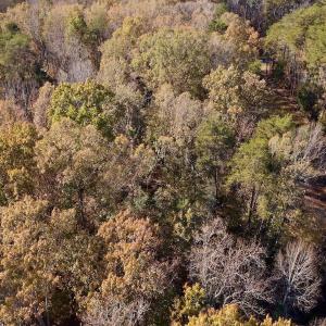 Photo #15 of SOLD property in 124 Monroe Court, Troy, NC 0.6 acres