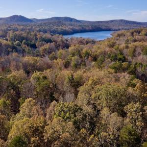 Photo #16 of SOLD property in 124 Monroe Court, Troy, NC 0.6 acres