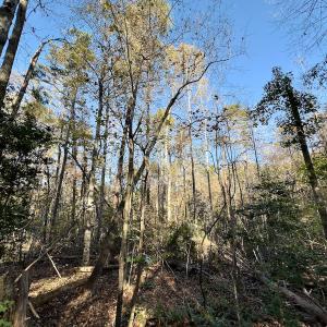Photo #17 of SOLD property in 124 Monroe Court, Troy, NC 0.6 acres