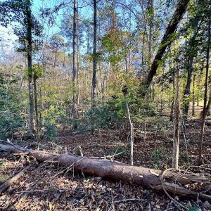 Photo #18 of SOLD property in 124 Monroe Court, Troy, NC 0.6 acres