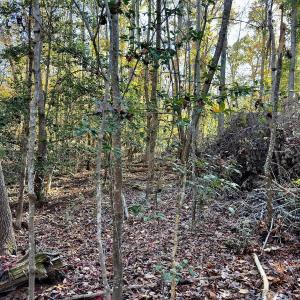 Photo #19 of SOLD property in 124 Monroe Court, Troy, NC 0.6 acres