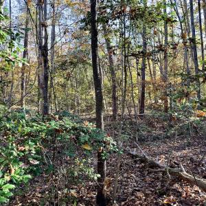 Photo #20 of SOLD property in 124 Monroe Court, Troy, NC 0.6 acres