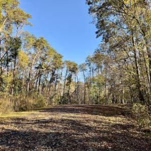 Photo #3 of SOLD property in 124 Monroe Court, Troy, NC 0.6 acres