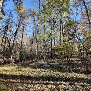 Photo #4 of SOLD property in 124 Monroe Court, Troy, NC 0.6 acres