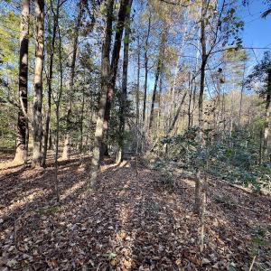 Photo #5 of SOLD property in 124 Monroe Court, Troy, NC 0.6 acres