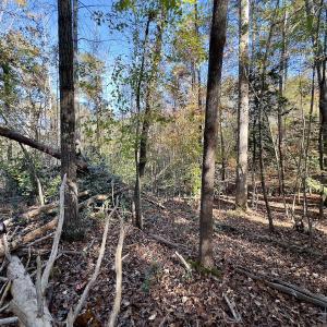 Photo #6 of SOLD property in 124 Monroe Court, Troy, NC 0.6 acres