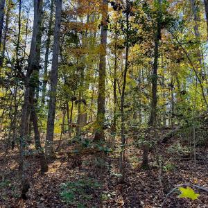 Photo #7 of SOLD property in 124 Monroe Court, Troy, NC 0.6 acres