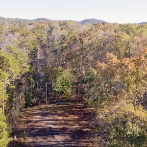 Photo #9 of SOLD property in 124 Monroe Court, Troy, NC 0.6 acres