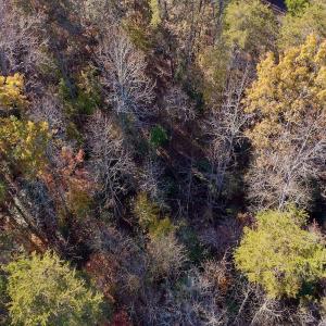 Photo #21 of SOLD property in 124 Monroe Court, Troy, NC 0.6 acres