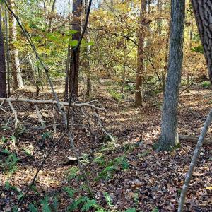 Photo #22 of SOLD property in 124 Monroe Court, Troy, NC 0.6 acres
