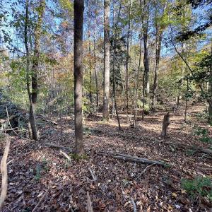 Photo #23 of SOLD property in 124 Monroe Court, Troy, NC 0.6 acres