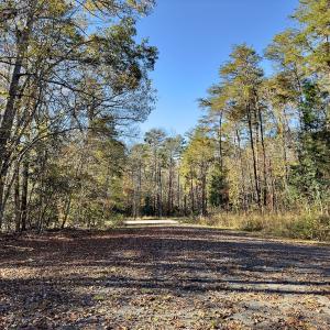 Photo #25 of SOLD property in 124 Monroe Court, Troy, NC 0.6 acres