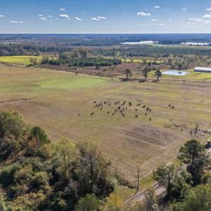 Photo #2 of 750 Sumner Road, Pink Hill, NC 230.0 acres