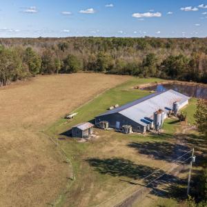 Photo #4 of 750 Sumner Road, Pink Hill, NC 230.0 acres
