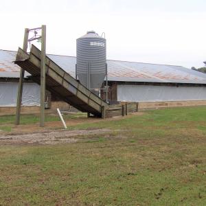 Photo #5 of 750 Sumner Road, Pink Hill, NC 230.0 acres