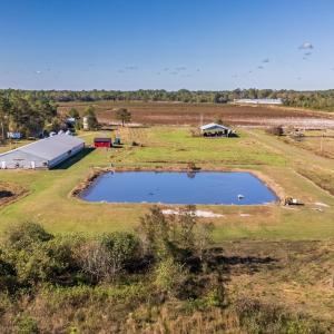 Photo #6 of 750 Sumner Road, Pink Hill, NC 230.0 acres