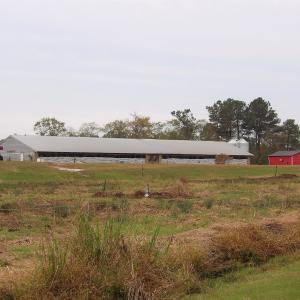 Photo #8 of 750 Sumner Road, Pink Hill, NC 230.0 acres