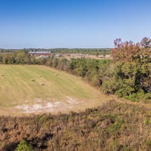 Photo #10 of 750 Sumner Road, Pink Hill, NC 230.0 acres