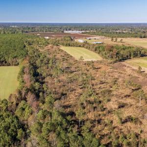 Photo #11 of 750 Sumner Road, Pink Hill, NC 230.0 acres
