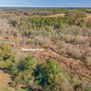 Photo #15 of 750 Sumner Road, Pink Hill, NC 230.0 acres