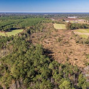 Photo #16 of 750 Sumner Road, Pink Hill, NC 230.0 acres