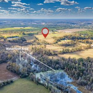Photo #17 of 750 Sumner Road, Pink Hill, NC 230.0 acres