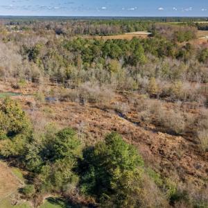 Photo #18 of 750 Sumner Road, Pink Hill, NC 230.0 acres