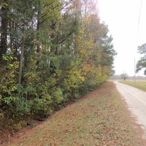 Photo #22 of 750 Sumner Road, Pink Hill, NC 230.0 acres