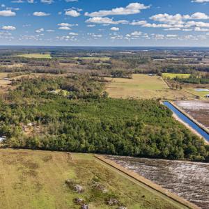 Photo #25 of 750 Sumner Road, Pink Hill, NC 230.0 acres