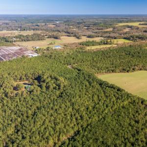 Photo #27 of 750 Sumner Road, Pink Hill, NC 230.0 acres