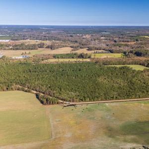 Photo #28 of 750 Sumner Road, Pink Hill, NC 230.0 acres