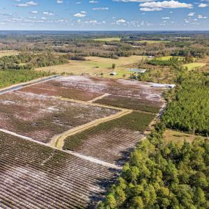 Photo #30 of 750 Sumner Road, Pink Hill, NC 230.0 acres