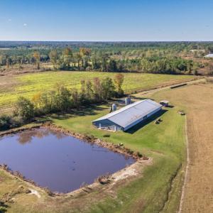 Photo #38 of 750 Sumner Road, Pink Hill, NC 230.0 acres