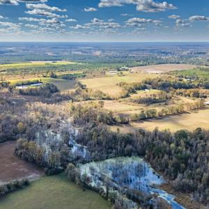 Photo #44 of 750 Sumner Road, Pink Hill, NC 230.0 acres