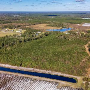 Photo #41 of 750 Sumner Road, Pink Hill, NC 230.0 acres