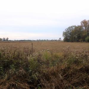 Photo #42 of 750 Sumner Road, Pink Hill, NC 230.0 acres