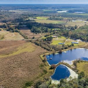 Photo #43 of 750 Sumner Road, Pink Hill, NC 230.0 acres